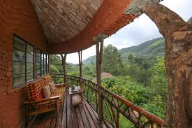 Bild der Mahogany Springs Lodge