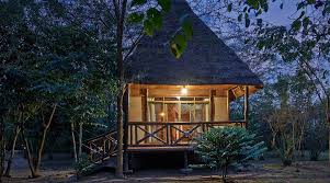 Bild der Ishasha Jungle Lodge