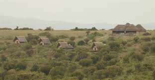 Bild der Kasenyi Safari Lodge
